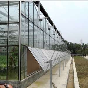 China Supplier Multi-Span Glass Greenhouse for Hot Sale